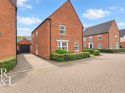 Picture 30